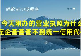 今天刚办的营业执照为什么在企查查查不到统一信用代码