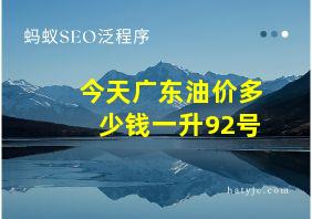 今天广东油价多少钱一升92号