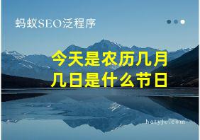 今天是农历几月几日是什么节日