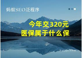 今年交320元医保属于什么保