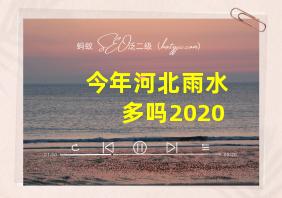 今年河北雨水多吗2020