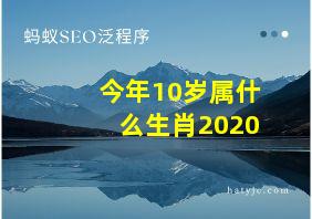 今年10岁属什么生肖2020