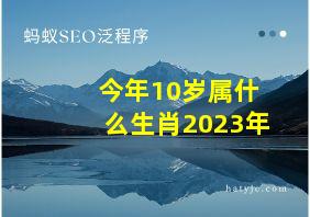 今年10岁属什么生肖2023年