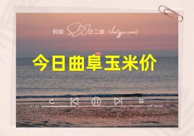 今日曲阜玉米价