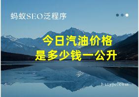 今日汽油价格是多少钱一公升