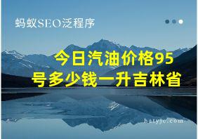 今日汽油价格95号多少钱一升吉林省