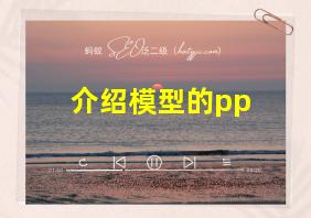 介绍模型的pp