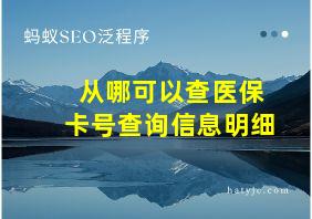 从哪可以查医保卡号查询信息明细