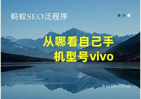 从哪看自己手机型号vivo