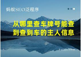 从哪里查车牌号能查到查到车的主人信息