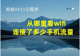 从哪里看wifi连接了多少手机流量