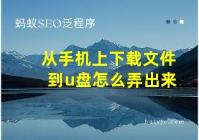 从手机上下载文件到u盘怎么弄出来