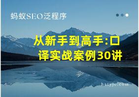 从新手到高手:口译实战案例30讲