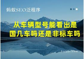 从车辆型号能看出是国几车吗还是非标车吗