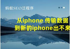 从iphone 传输数据到新的iphone出不来