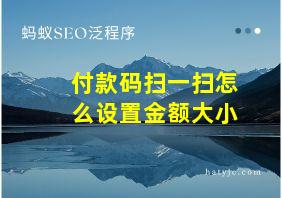 付款码扫一扫怎么设置金额大小