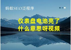 仪表盘电池亮了什么意思呀视频