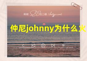 仲尼johnny为什么火