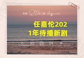 任嘉伦2021年待播新剧