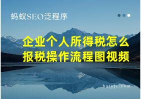 企业个人所得税怎么报税操作流程图视频