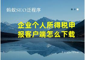 企业个人所得税申报客户端怎么下载