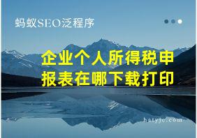 企业个人所得税申报表在哪下载打印