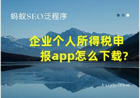 企业个人所得税申报app怎么下载?