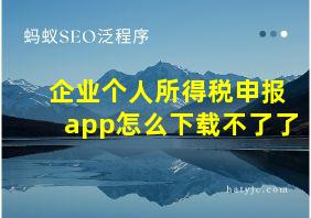 企业个人所得税申报app怎么下载不了了