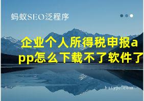 企业个人所得税申报app怎么下载不了软件了