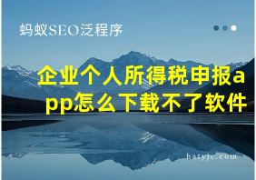 企业个人所得税申报app怎么下载不了软件