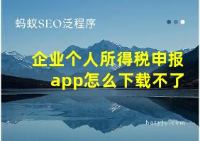 企业个人所得税申报app怎么下载不了