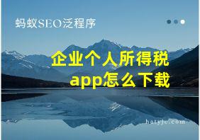 企业个人所得税app怎么下载