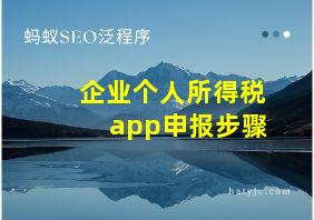 企业个人所得税app申报步骤