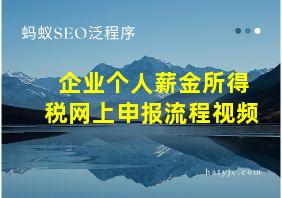 企业个人薪金所得税网上申报流程视频