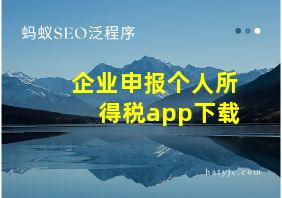 企业申报个人所得税app下载