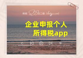 企业申报个人所得税app