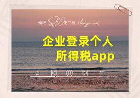 企业登录个人所得税app