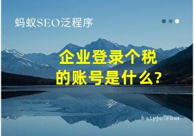 企业登录个税的账号是什么?