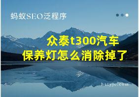 众泰t300汽车保养灯怎么消除掉了