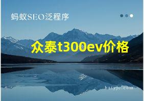 众泰t300ev价格