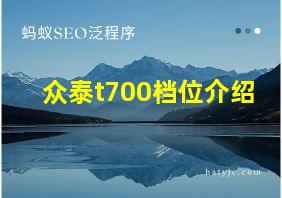 众泰t700档位介绍