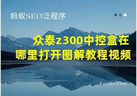 众泰z300中控盒在哪里打开图解教程视频