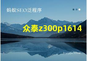 众泰z300p1614