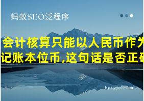 会计核算只能以人民币作为记账本位币,这句话是否正确