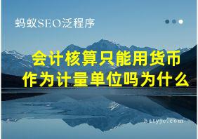 会计核算只能用货币作为计量单位吗为什么