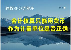 会计核算只能用货币作为计量单位是否正确