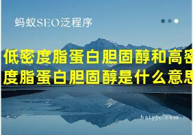 低密度脂蛋白胆固醇和高密度脂蛋白胆固醇是什么意思