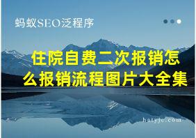 住院自费二次报销怎么报销流程图片大全集