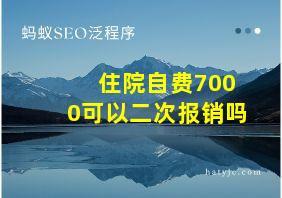 住院自费7000可以二次报销吗