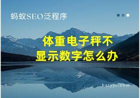 体重电子秤不显示数字怎么办